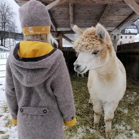 Biohof Kroisleitner Rundumblick Apartment