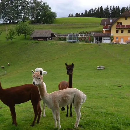 Biohof Kroisleitner Rundumblick شقة *