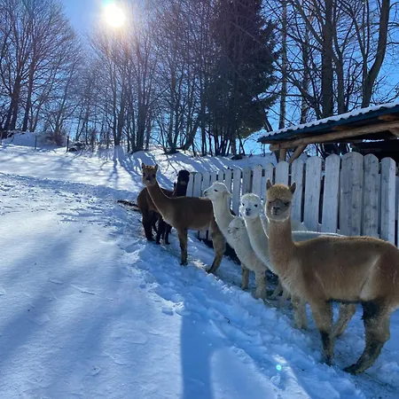 Biohof Kroisleitner Rundumblick شقة