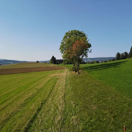 Biohof Kroisleitner Rundumblick * Sankt Jakob im Walde