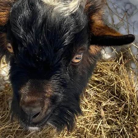 Biohof Kroisleitner Rundumblick