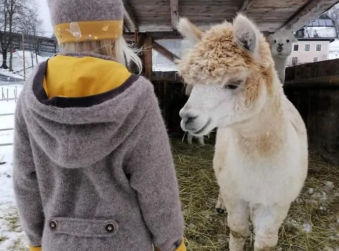 Biohof Kroisleitner Rundumblick Appartamento