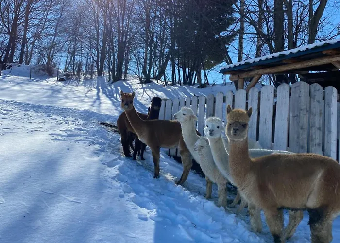 Biohof Kroisleitner Rundumblick Apartment