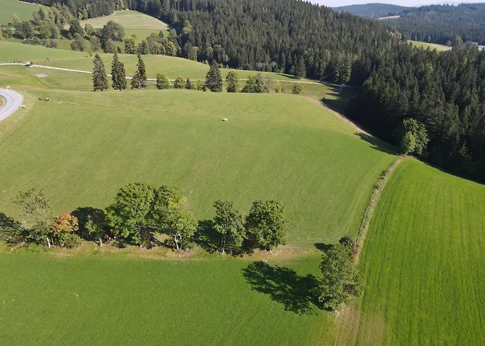 Biohof Kroisleitner Rundumblick