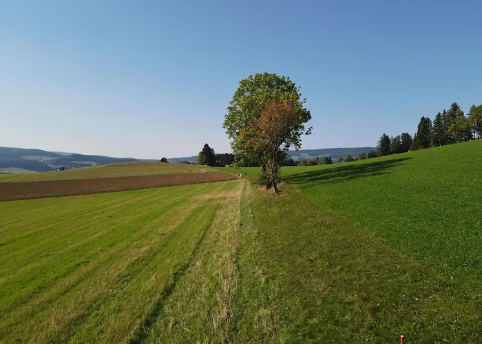 Biohof Kroisleitner Rundumblick * Sankt Jakob im Walde
