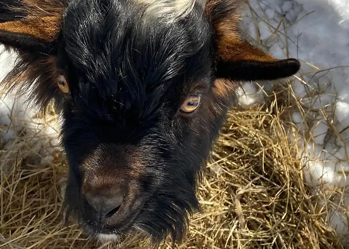 Biohof Kroisleitner Rundumblick