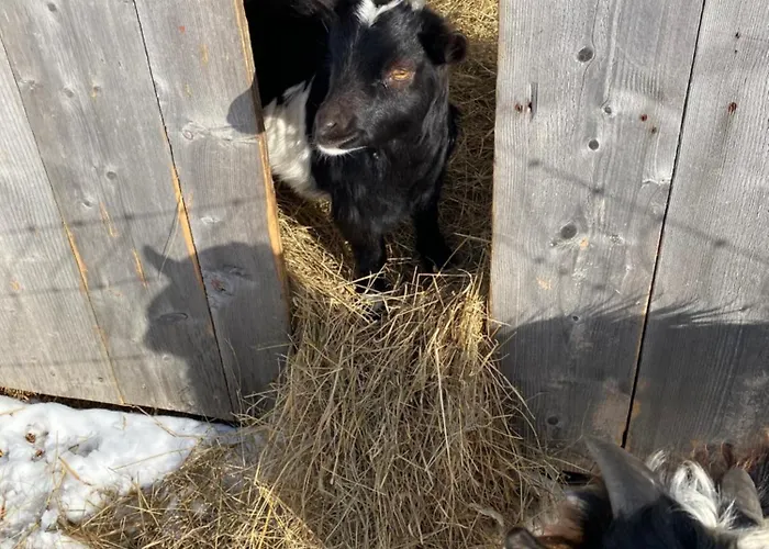 Biohof Kroisleitner Rundumblick